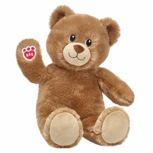 Free Build-A-Bear Teddy (Worth £11)