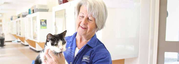 RSPCA worker and cat