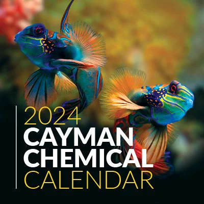 Free 2024 Wall Calendar