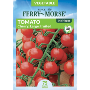 Free Innocent Tomato Seeds Pack