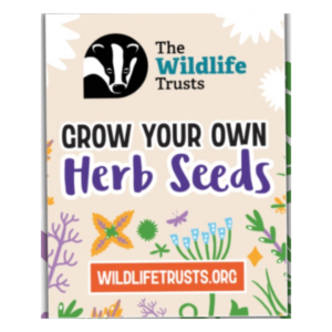 Free Herb Seeds Pack